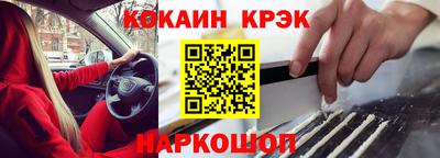 крисы Кунгур