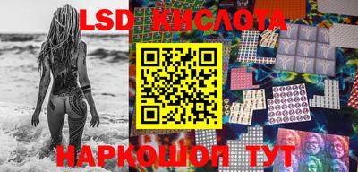 крисы Кунгур