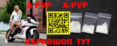 крисы Кунгур