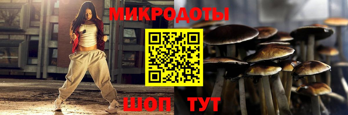 Янаул  Псилоцибиновые грибы Cubensis  Вход с VPN 